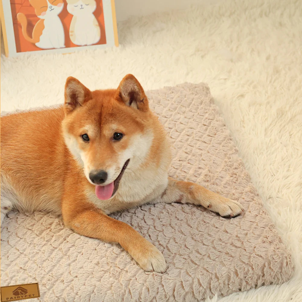 Orthopedic 3D Foam Dog Bed