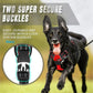 Dog Collars Harness Big Vests Leash Pet Shop Everything for Dogs Leather Puppy Accessories Medium Small Set