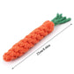 Dog Chew Toy