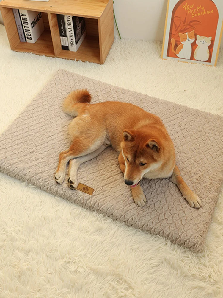 Orthopedic 3D Foam Dog Bed