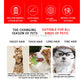 Electric Pet Grooming Clipper Kit