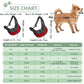 Mesh Pet Carrier Sling Backpack