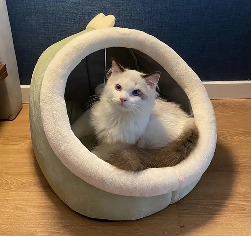 Foldable Cartoon Cat & Dog Bed