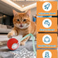 Indestructible Plush Dog Chew Toy