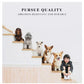 Portable Mesh Pet Carrier Bag