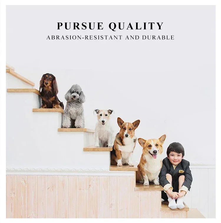 Portable Mesh Pet Carrier Bag