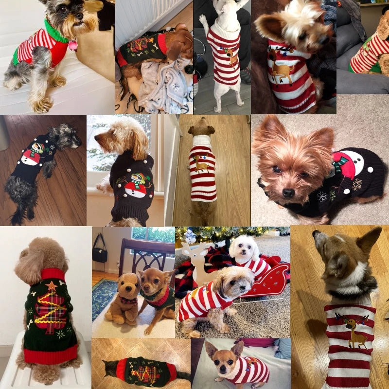 Dogs and other pets Christmas Knitted Sweater