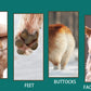 Electric Pet Hair Clipper Rechargeable