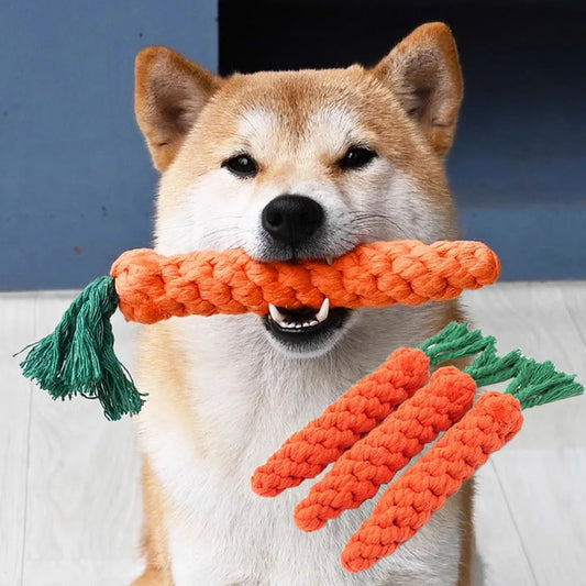 Dog Chew Toy